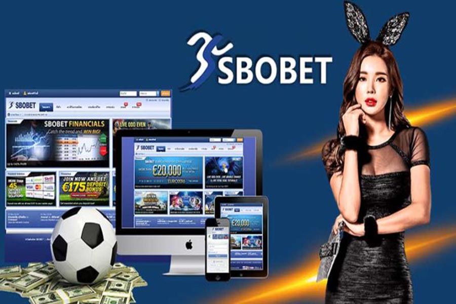 Sbobet - Nhà cái trực tuyến đáng tin cậy - Ảnh 1
